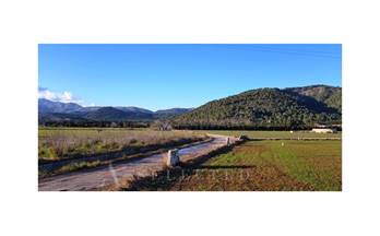 venta terrenos solares sa pobla 