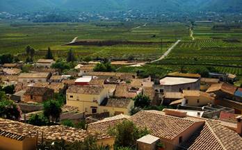 204 terrenos y fincas en venta gata de gorgos