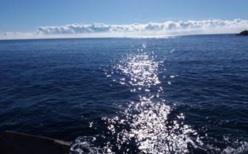 28 pisos en venta calonge