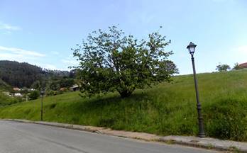 venta terrenos solares candamo san roman