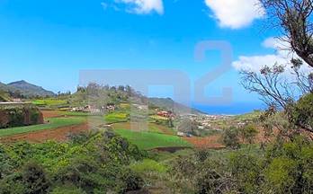 37 casas en venta agua garcia