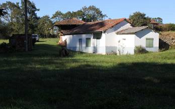 40 terrenos y fincas en venta las regueras