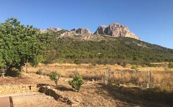 97 terrenos y fincas en venta el albir