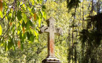 56 casas en venta soto del barco