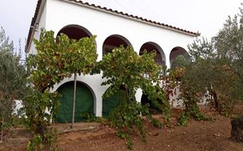 53 terrenos y fincas en venta puebla de sancho perez