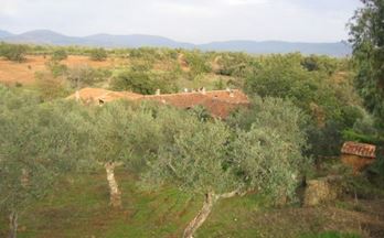 venta finca rustica jaraiz de la vera la vera