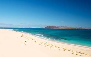 1 locales en venta taco