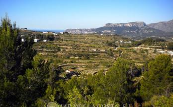 185 terrenos y fincas en venta benissa