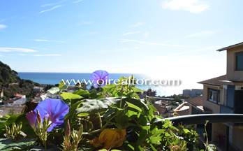 14 pisos en venta arenys de mar