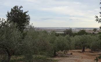 venta finca rustica sant carles de la rapita sant carles de la ràpita