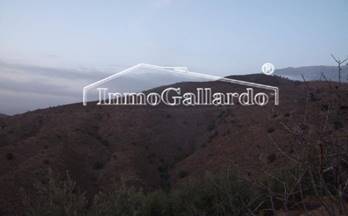 45 terrenos y fincas en venta sedella