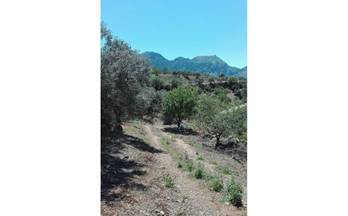 93 terrenos y fincas en venta rincon de la victoria