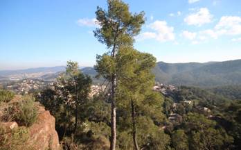 venta terrenos solares cervello cervelló