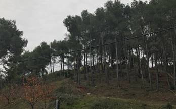 82 terrenos y fincas en venta sant esteve sesrovires