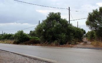 26 terrenos y fincas en venta vilafranca de bonany