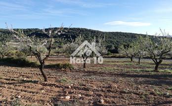 venta finca rustica ibi ibi