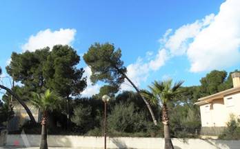 venta terrenos solares santa margalida can picafort