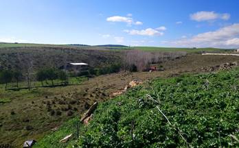 8 terrenos y fincas en venta calvarrasa de abajo
