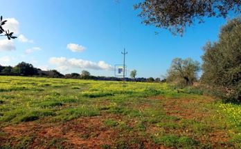 venta terrenos solares santanyi sur-este