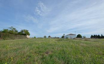 480 terrenos y fincas en venta alicante provincia