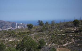 58 terrenos y fincas en venta la sella