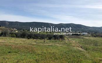 71 terrenos y fincas en venta canals