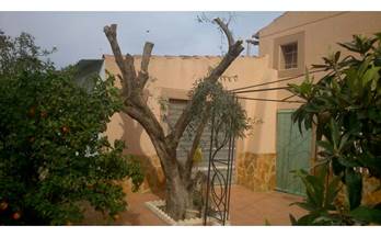 venta chalet adosado elche elx l´altet-els bassars