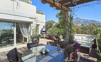 162 apartamentos en venta puerto banus