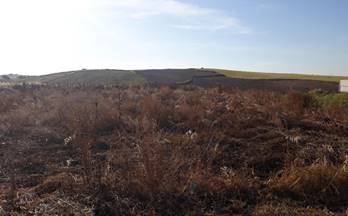 52 terrenos y fincas en venta puebla de sancho perez