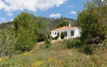 62 casas en venta rute