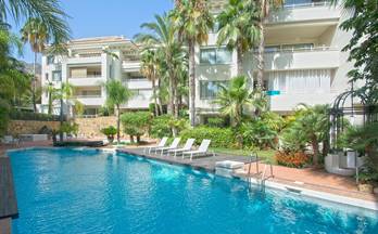 164 apartamentos en venta ojen