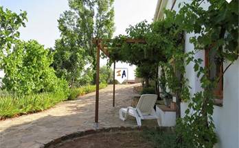 1 casas en venta huelma