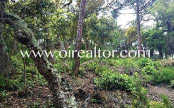 venta terrenos solares lloret de mar serra brava