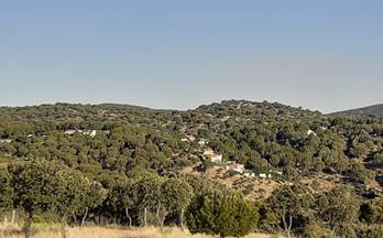 venta terrenos solares navas del rey urbanización cuesta vieja