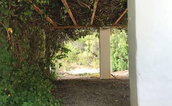 venta casa de campo ibiza ciudad