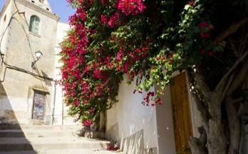 11 apartamentos en venta teia