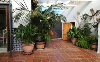 182 venta de casas con terraza en estepona
