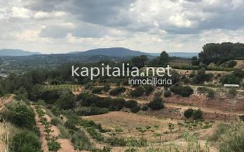 32 terrenos y fincas en venta carcaixent