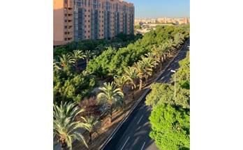 venta piso alicante garbinet-parque de las avenida