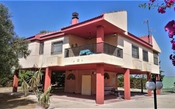 alquilar casas amuebladas los alcazares