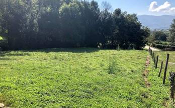60 terrenos y fincas en venta lugones