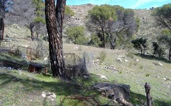 venta terrenos solares navas del rey navas del rey