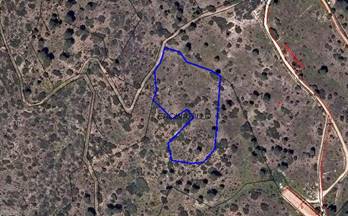 venta terrenos solares navas del rey navas del rey