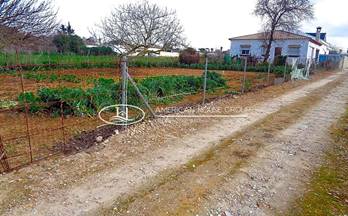 TERRENOS SOLARES en venta chiclana de la frontera marquesado