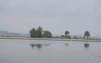 venta finca rustica amposta delta de l ebre