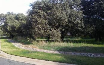 8 terrenos y fincas en venta coria del rio