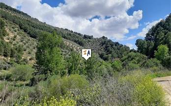 3 terrenos y fincas en venta montefrio