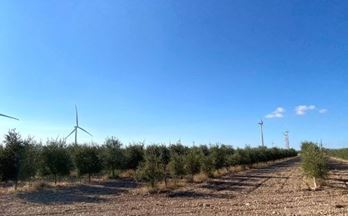 venta terrenos solares la muela urbanización alto la muela