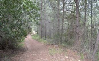 venta terrenos solares beniarda mas de sardina