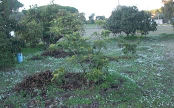 12 terrenos y fincas en venta zahora